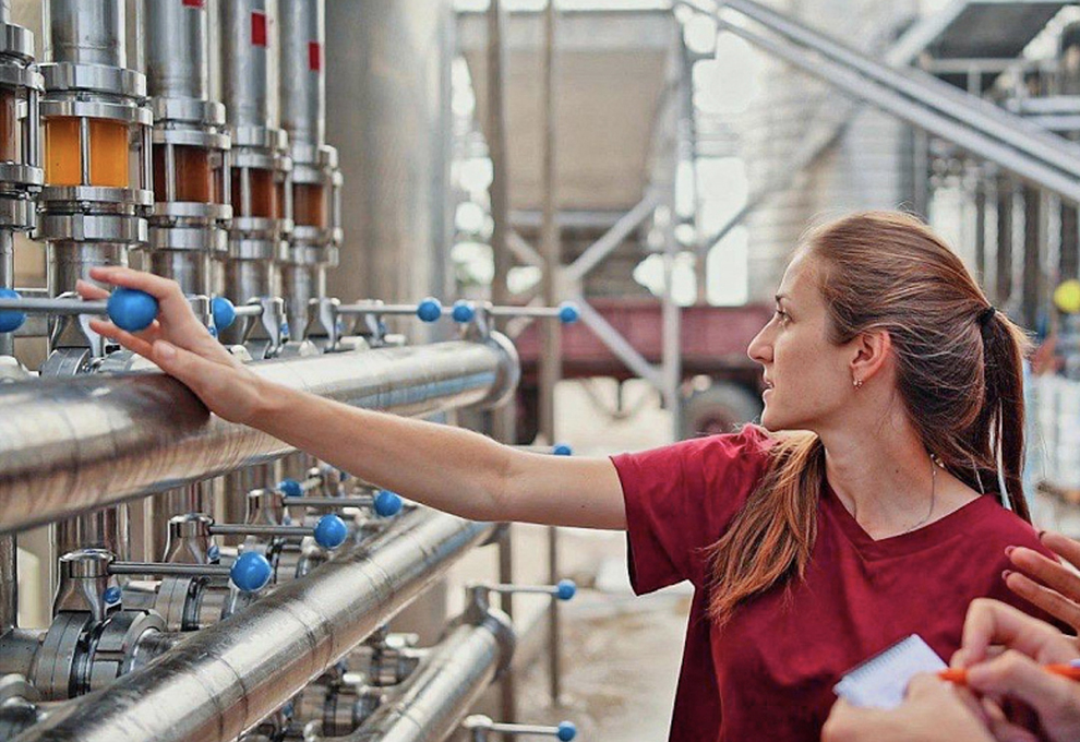 Стажеры: летняя практика в Центре энологии Chateau Tamagne 