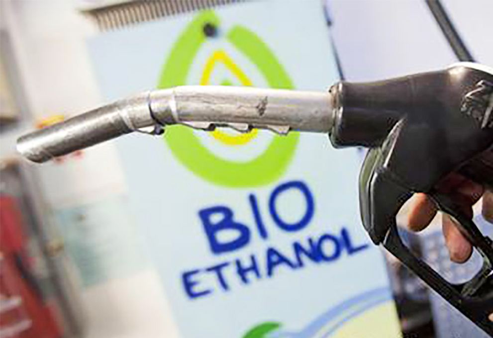 Станет ли красное вино из Бордо топливом для автомобилей?