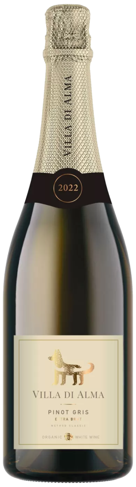 Вино игристое белое экстра брют Villa di Alma 
Пино Гри