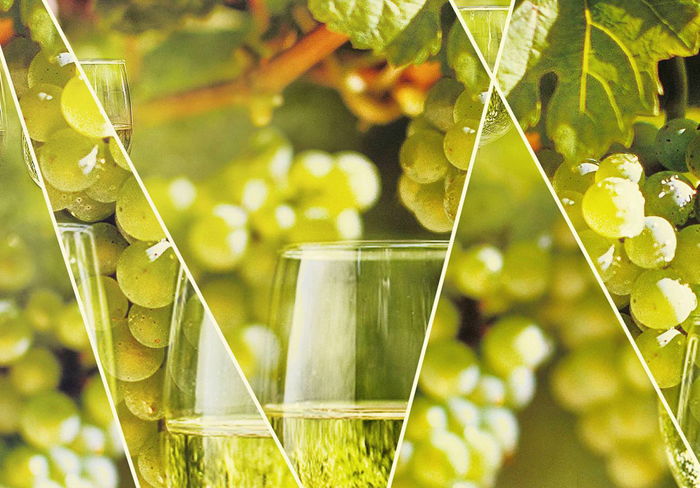 Терруарная ловушка для аромата: бензол