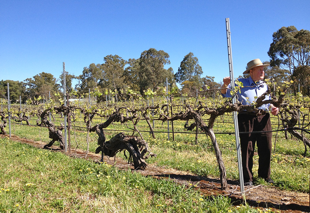 Австралия собрала «самый маленький урожай поколения»