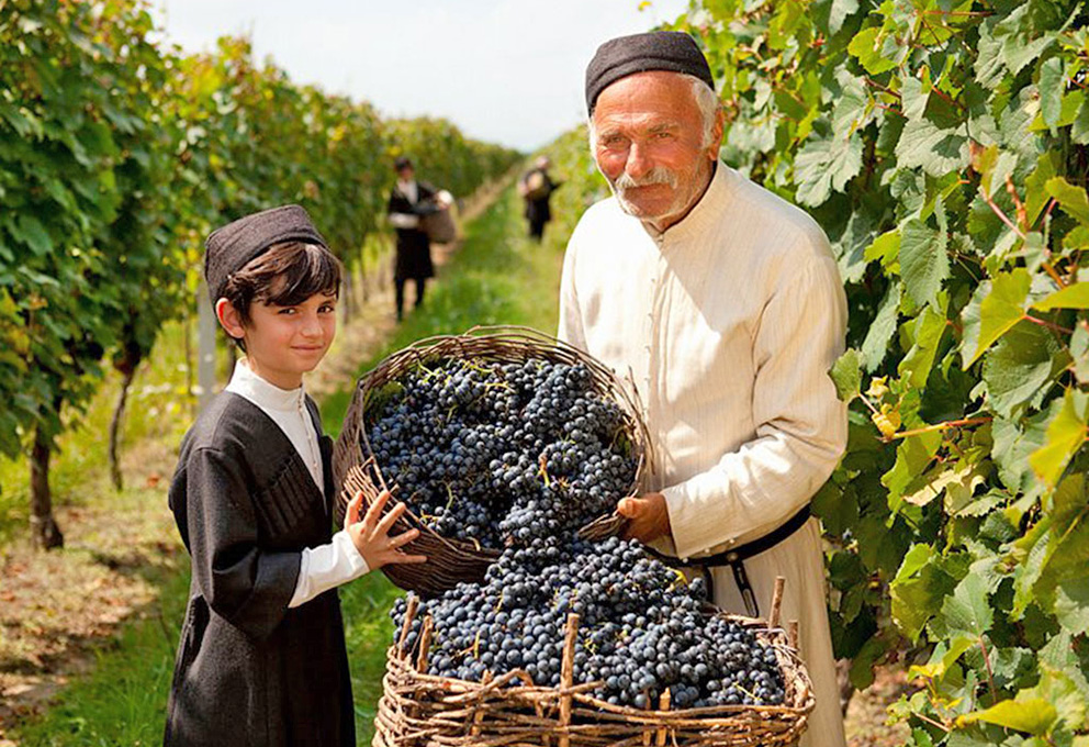 Грузинские вина будут сертифицировать по российским нормам