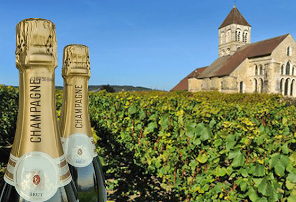 Регион Шампань может стать непригодным для производства легендарных вин