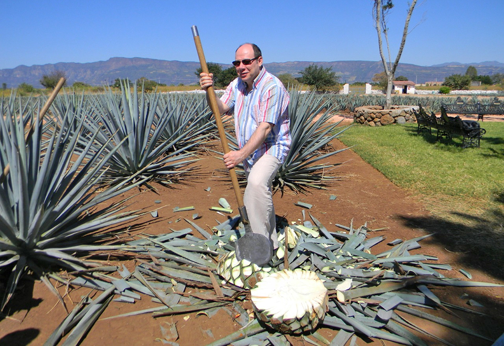 Top100wines.ru отметит лучшие винные точки на карте России