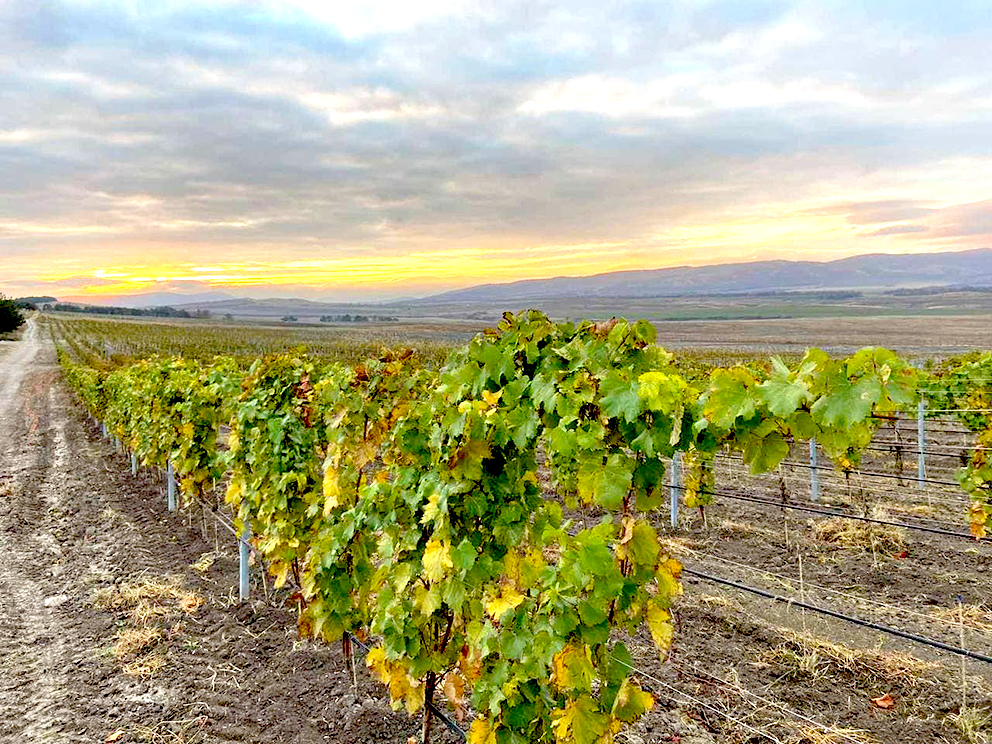 «Усадьба Белогорье» выходит на рынок