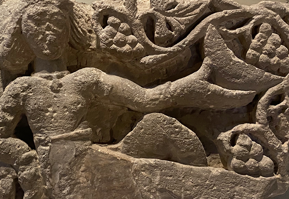 У культурных виноградных лоз обнаружились сразу две родины