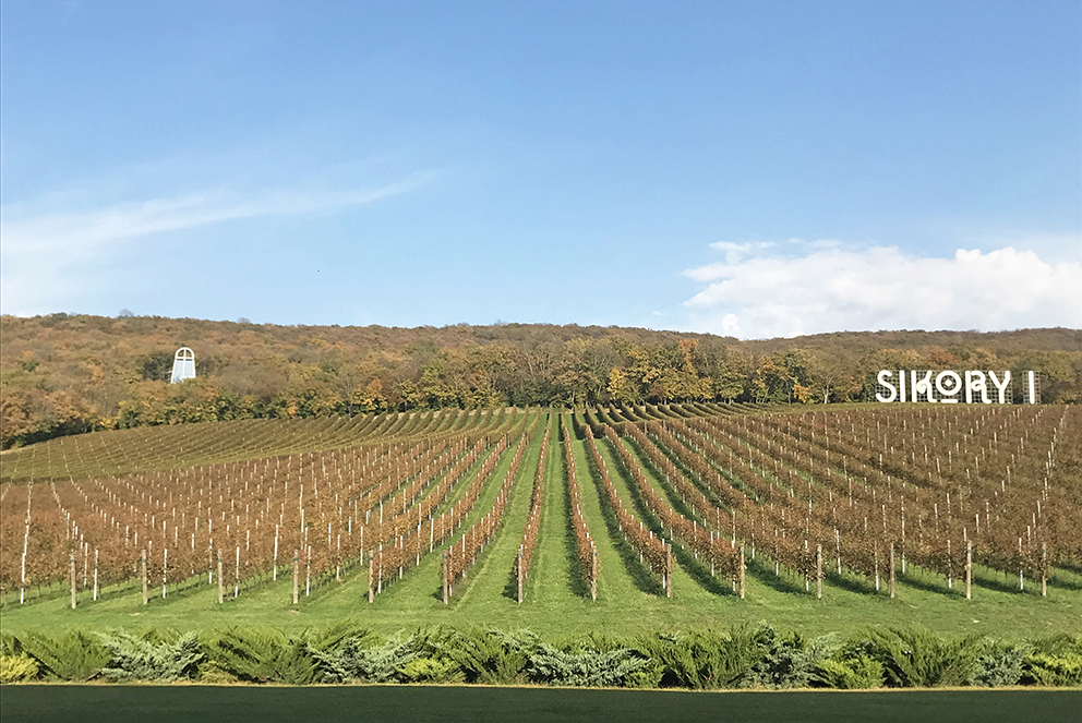 Винный дом, который построил Сикорский