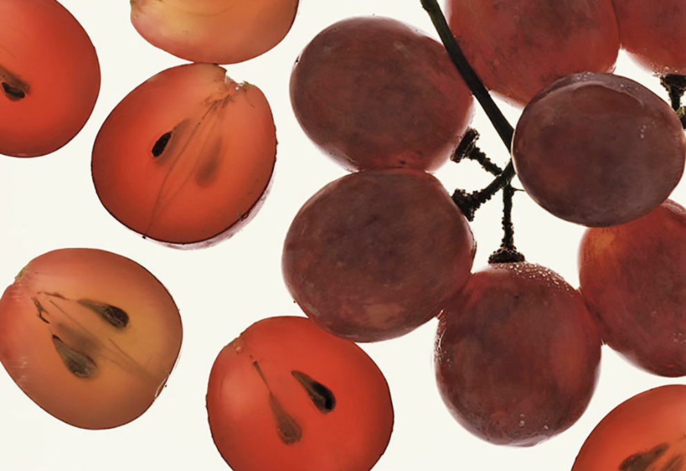 Молодость спрятана в виноградной косточке