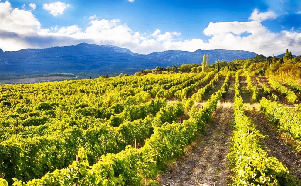 Крым: природа, история, вкус и вино