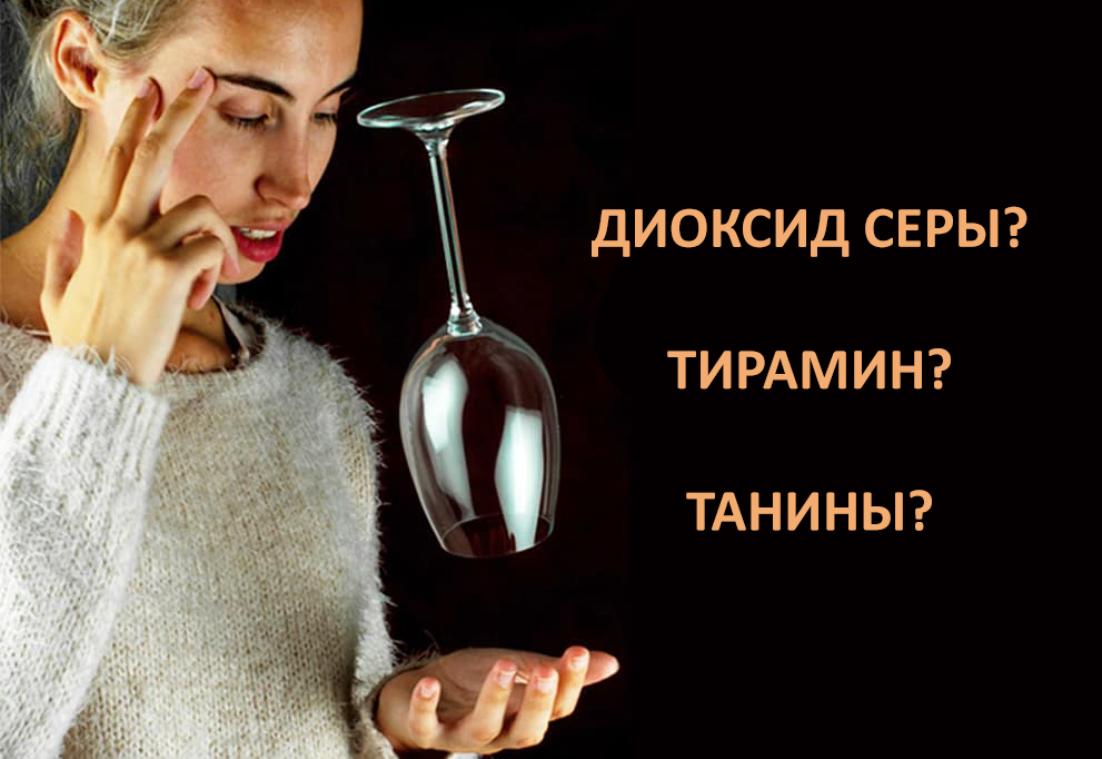 Почему от вина болит голова?