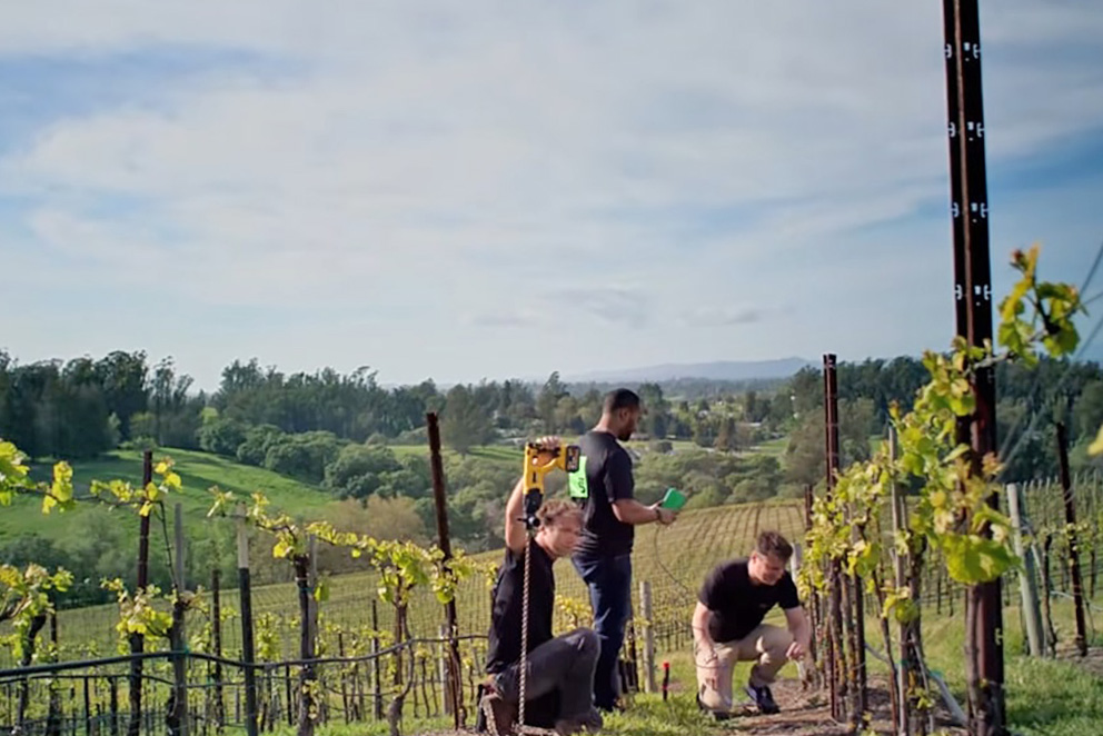 Новое приложение предупредит виноделов о природных катаклизмах