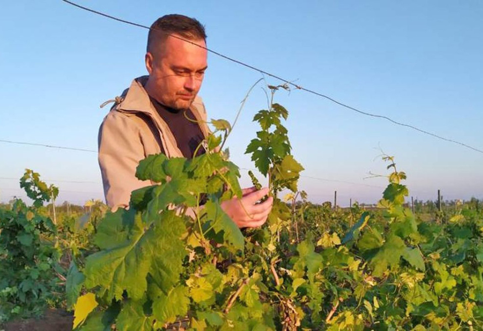 Доказана самостоятельность и оригинальность донских автохтонов 