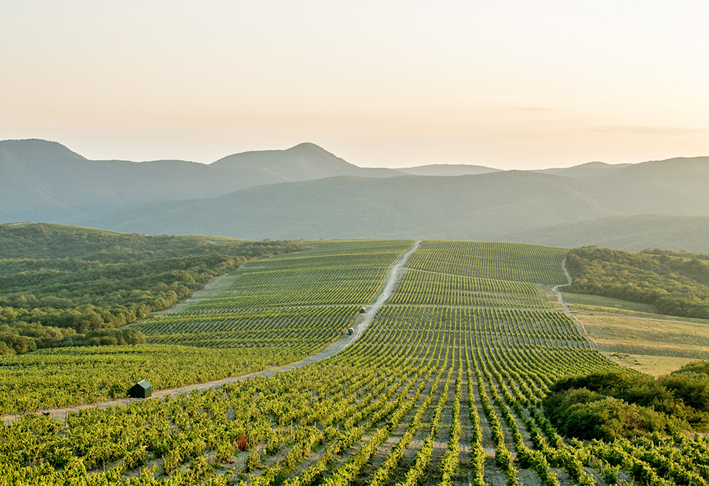 Соль земли. Топ-менеджеры АПК-2023 