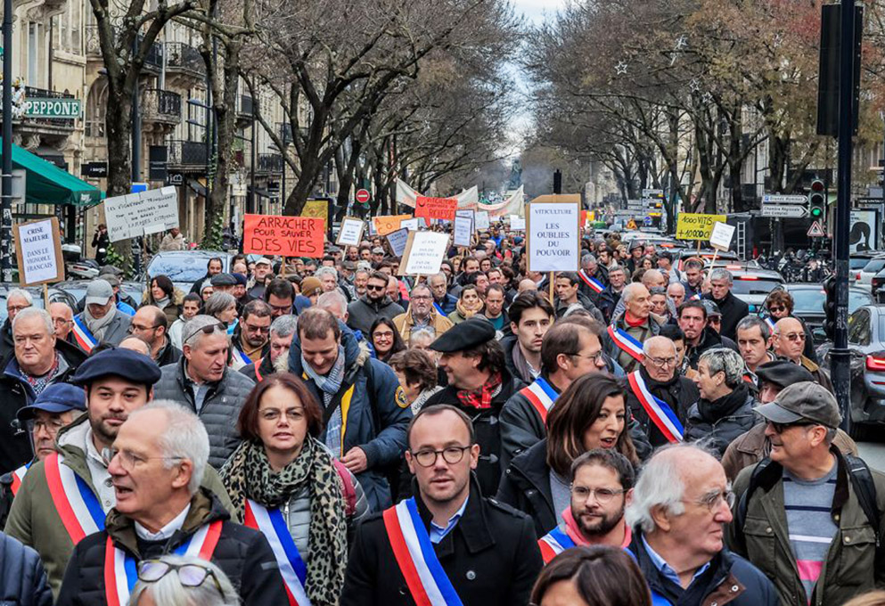 Виноделы Бордо заявляют о бедственном положении 