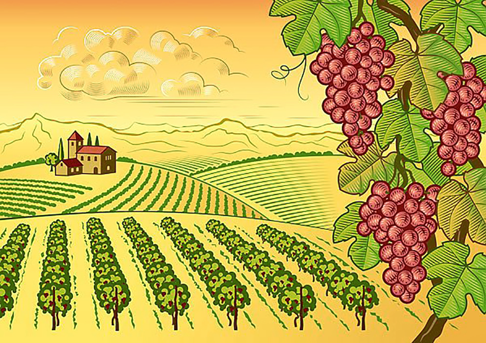 Третий Всероссийский симпозиум виноделов опубликовал свою программу