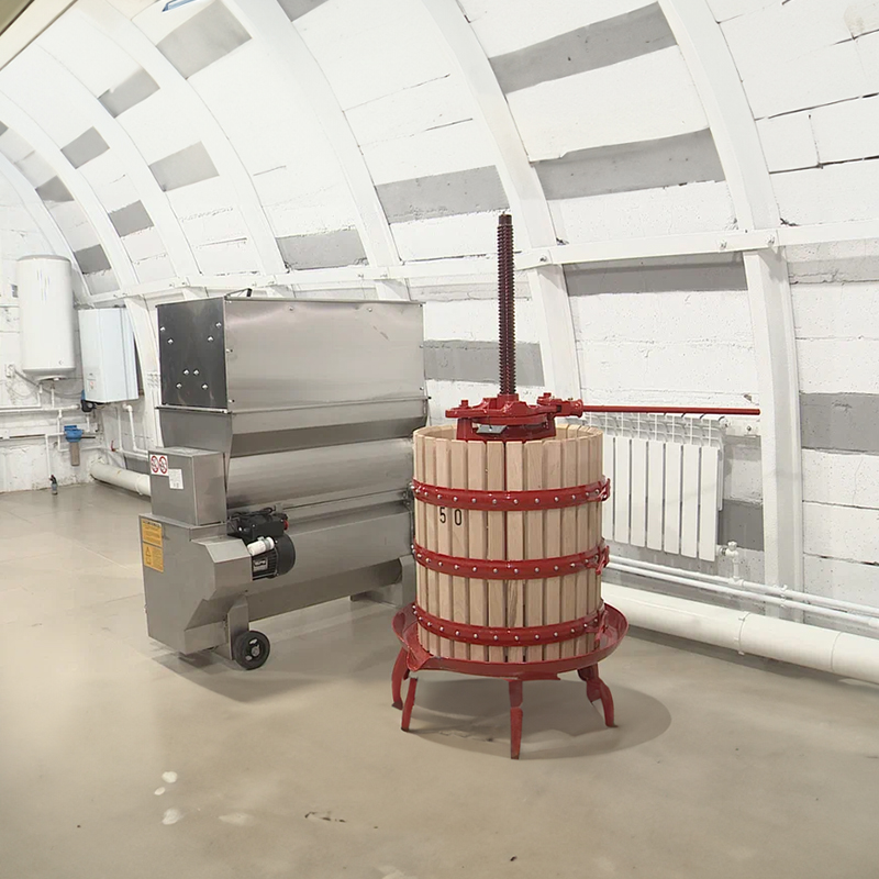 51 параллель: северное виноделие России