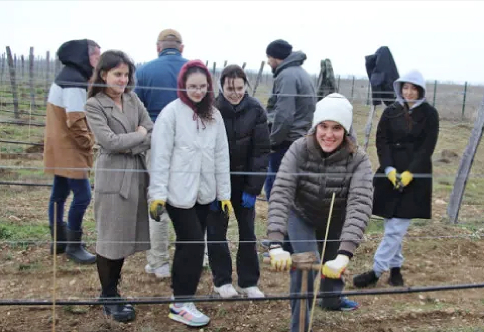 «Цифровому винограднику» зима – не помеха