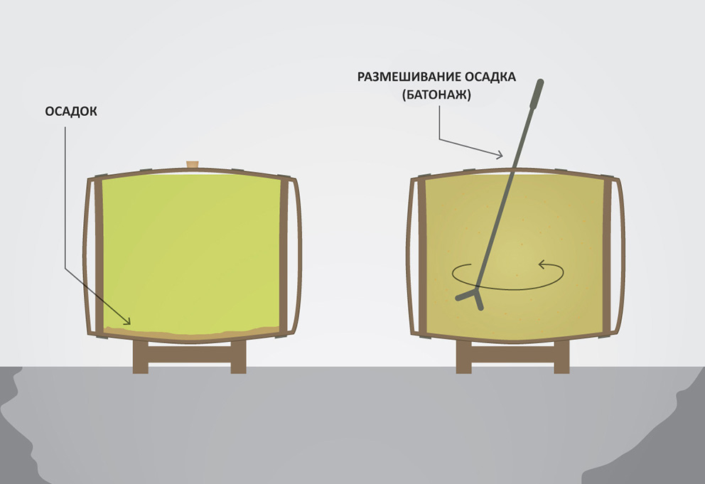 Что представляет собой винодельческая технология Sur Lie («сюр ли»)?