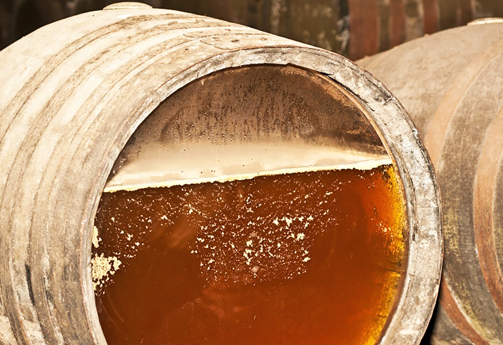 Глобальное потепление – угроза для хереса