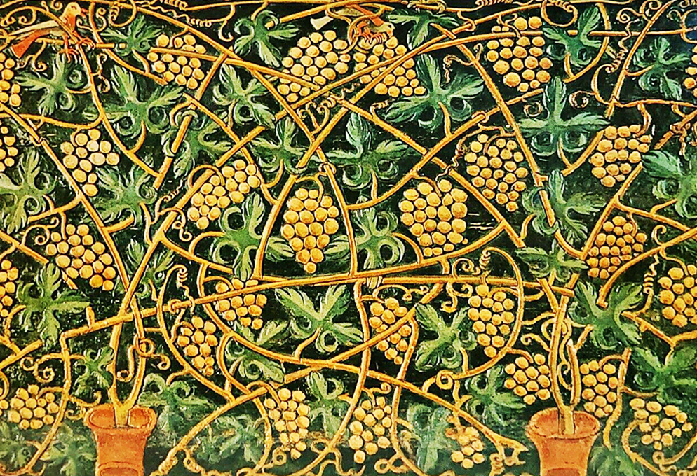 Всем, кто убирает виноград