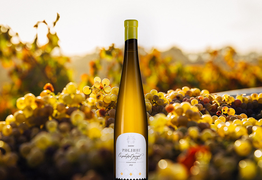 Самые популярные сорта винограда в России