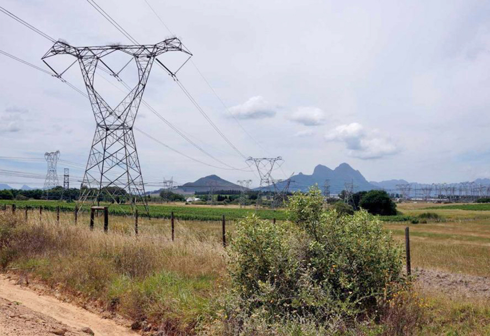 Виноделы ЮАР готовятся собирать урожай без света и холода
