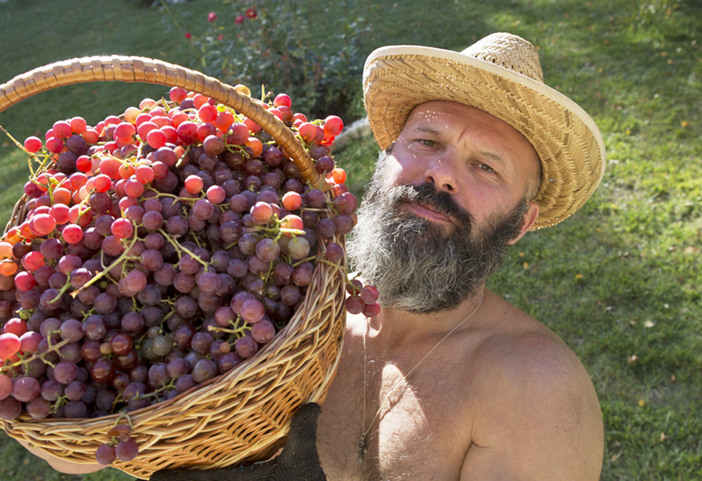 Московские виноделы готовятся к дегустации En Primeur