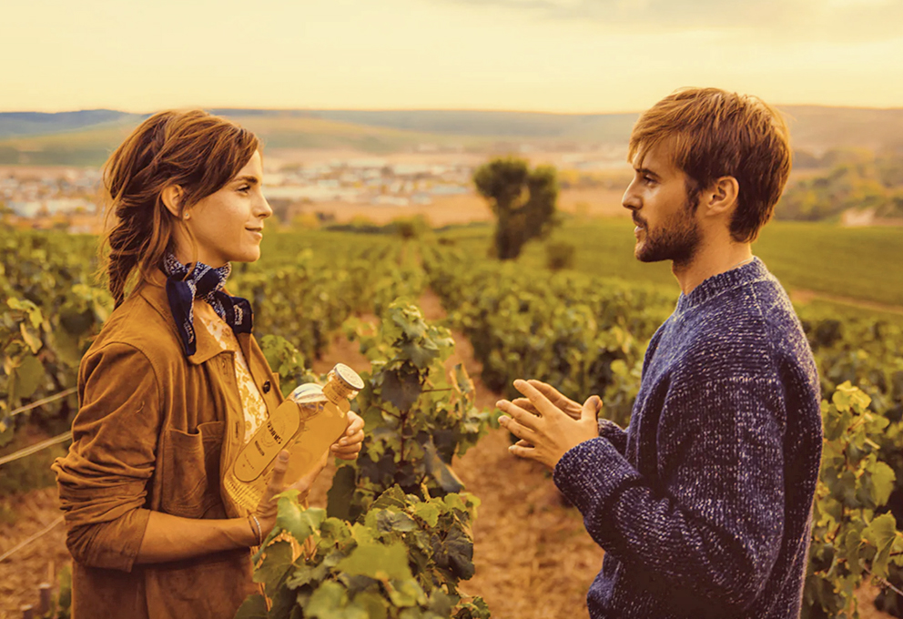 Гермиона увлеклась зельевареньем