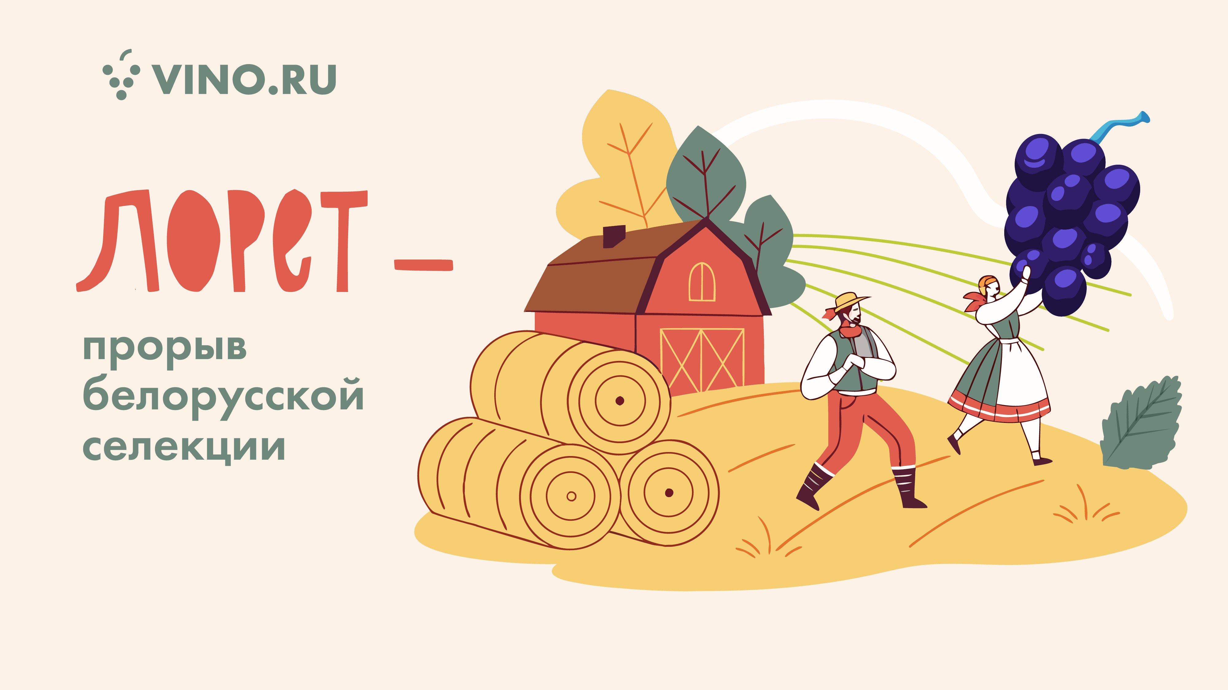 Лорет — прорыв белорусской селекции