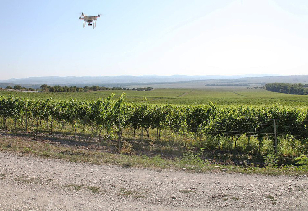 Новинки винодельни Villa Victoria