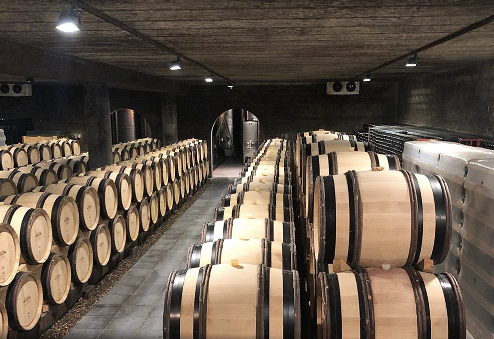 Бельгийские виноделы бьют рекорды.