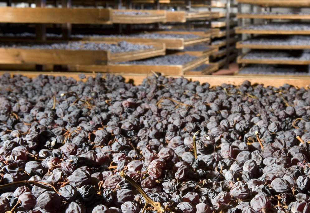 Anima 2019: новинка российского бренда Aristov