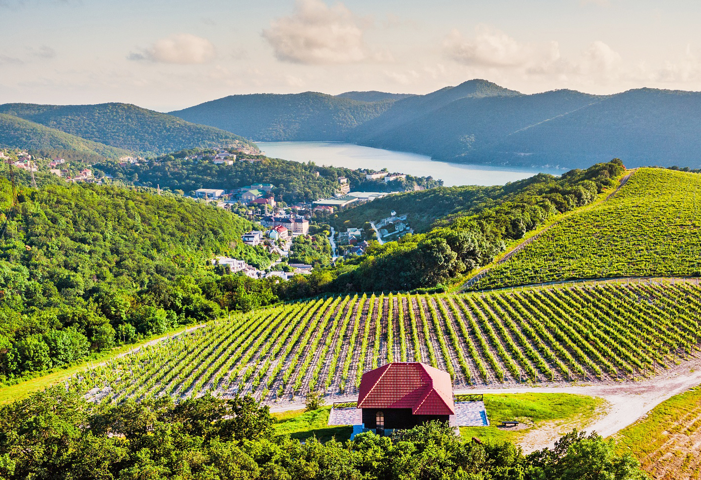 Гастрономический путеводитель назвал лучшие винодельни России 