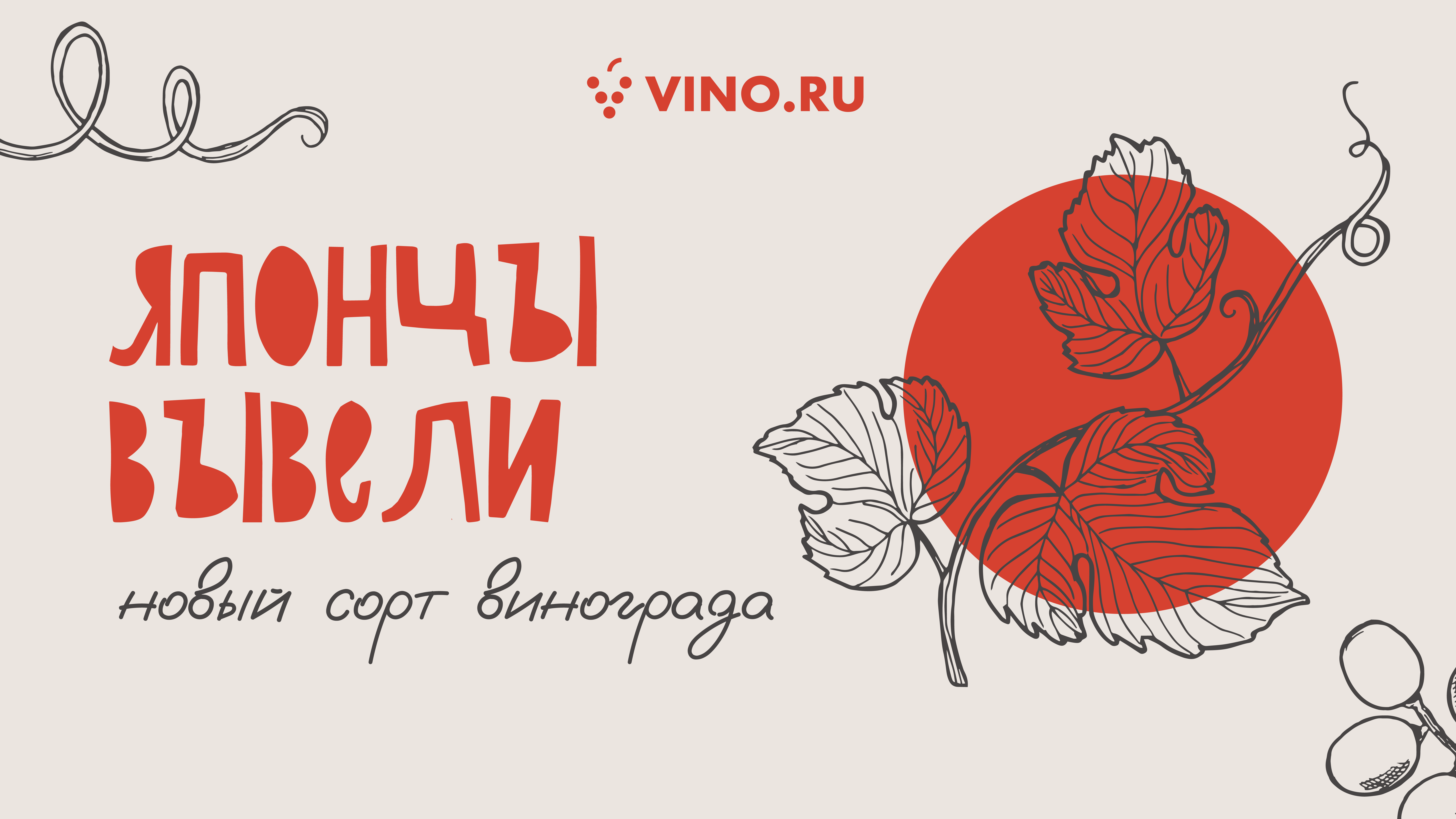 Японцы вывели новый сорт винограда 