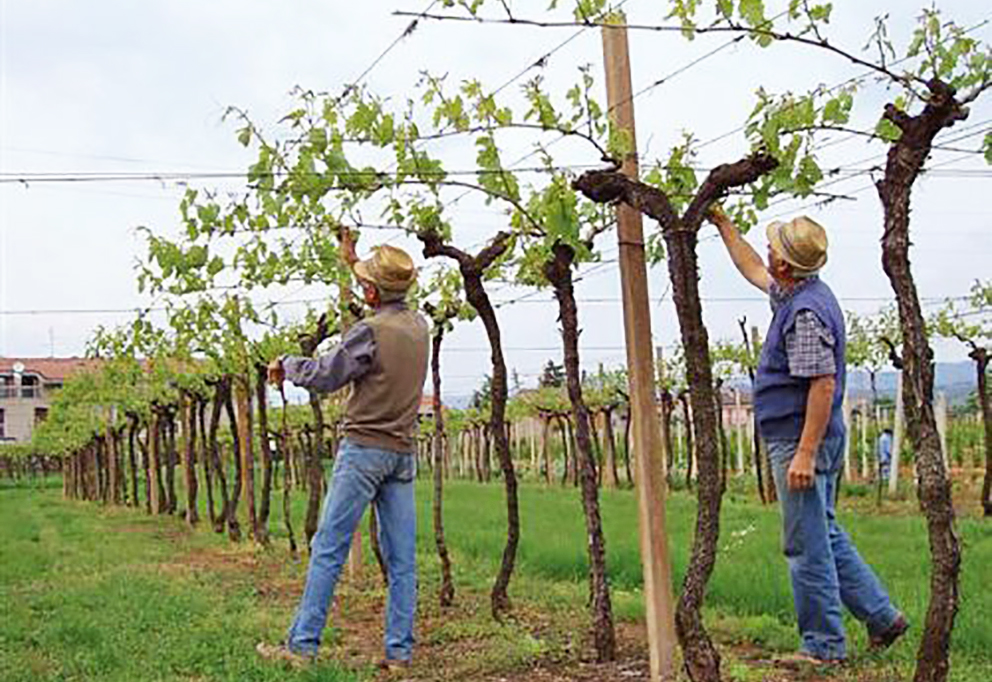 Три способа компенсировать потепление