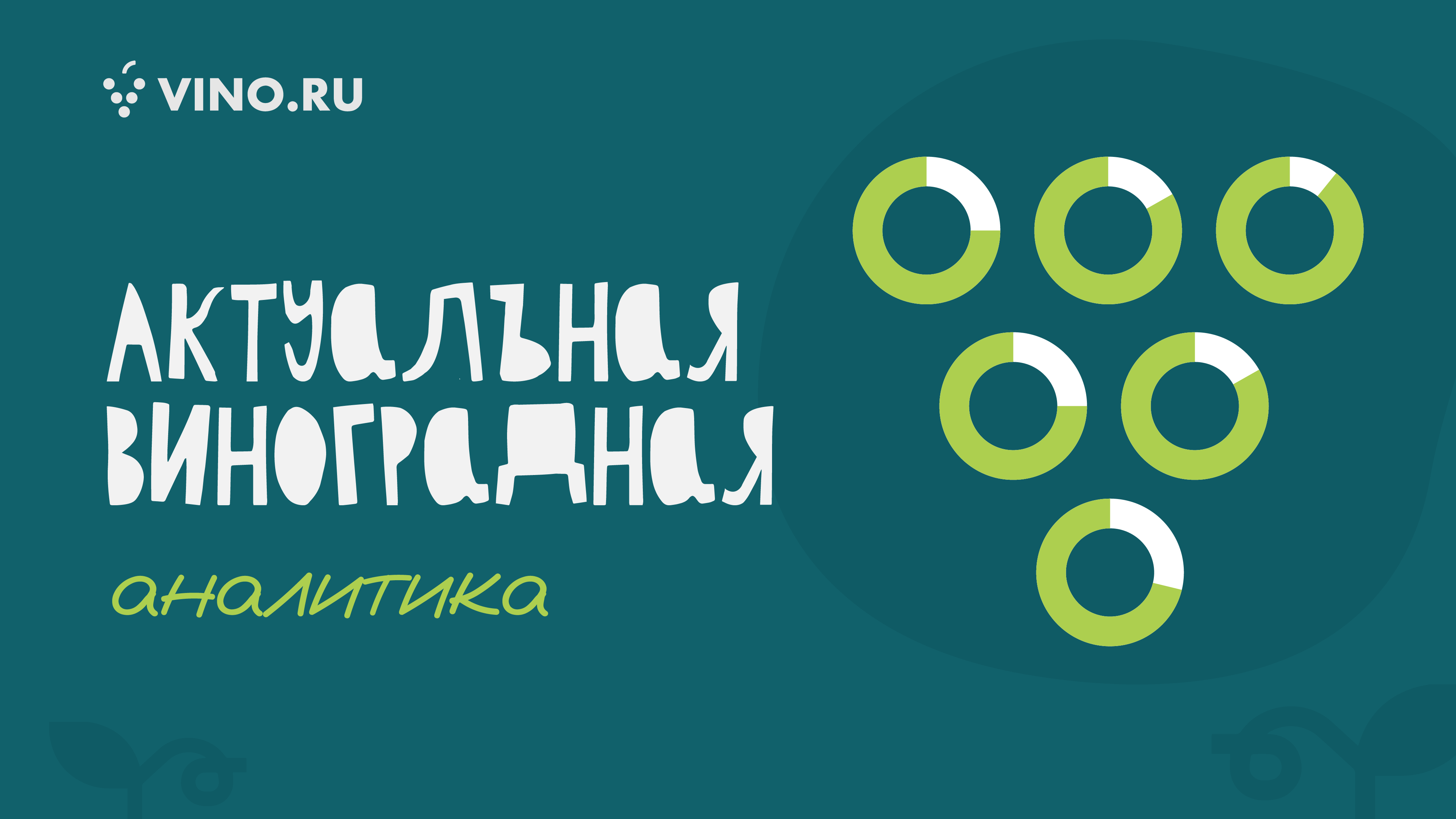 Актуальная виноградная аналитика