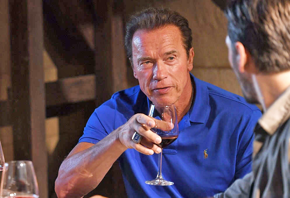 ВИНО И ЧАЙ: ВСПОМНИТЬ ВСЁ