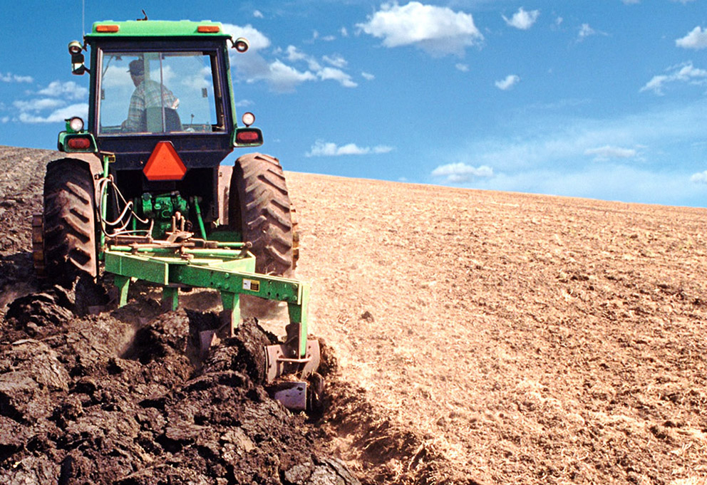 «Бокал вина на пашне» опубликовал программу дегустаций