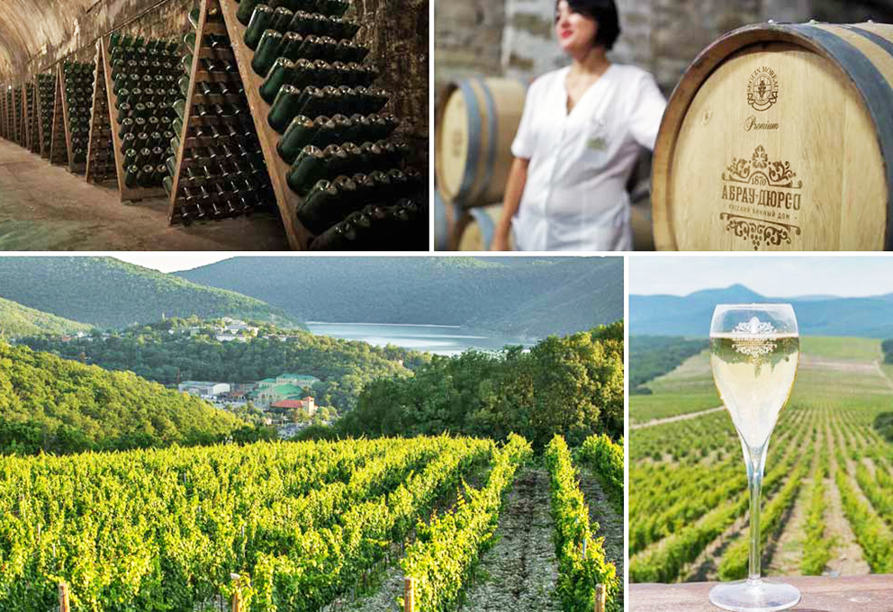 Винный туризм, как предмет для изучения