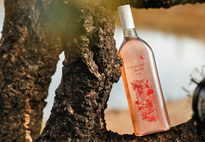 Элитное «розе» в бутылке из пластикового мусора