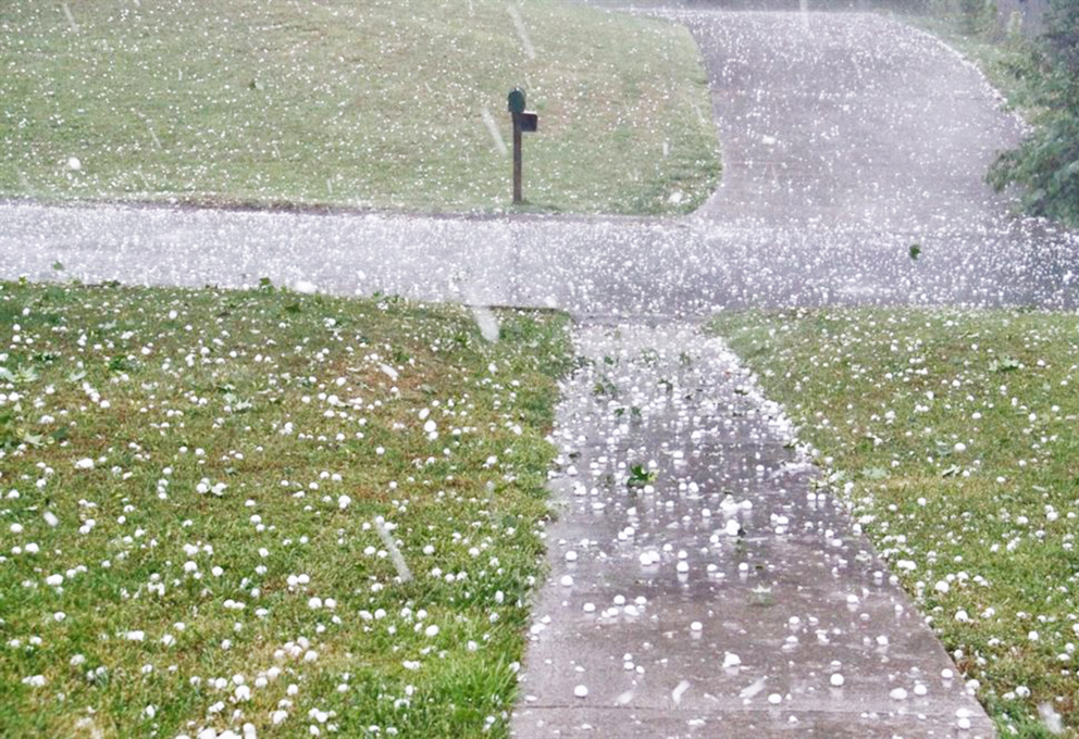 Град уничтожил до 90% будущего урожая в Провансе