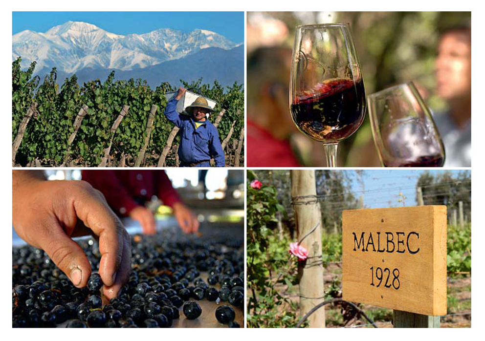 Осень. Мальбек. Время выпить вина