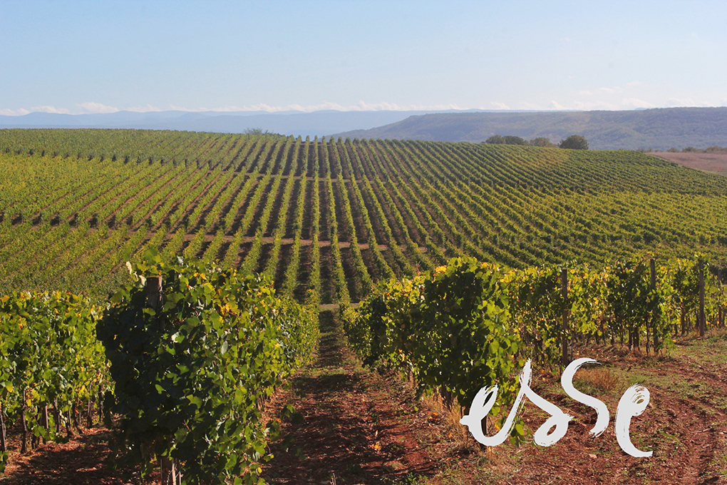 Две новинки в жанре ESSE