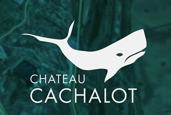 Chateau Cachalot