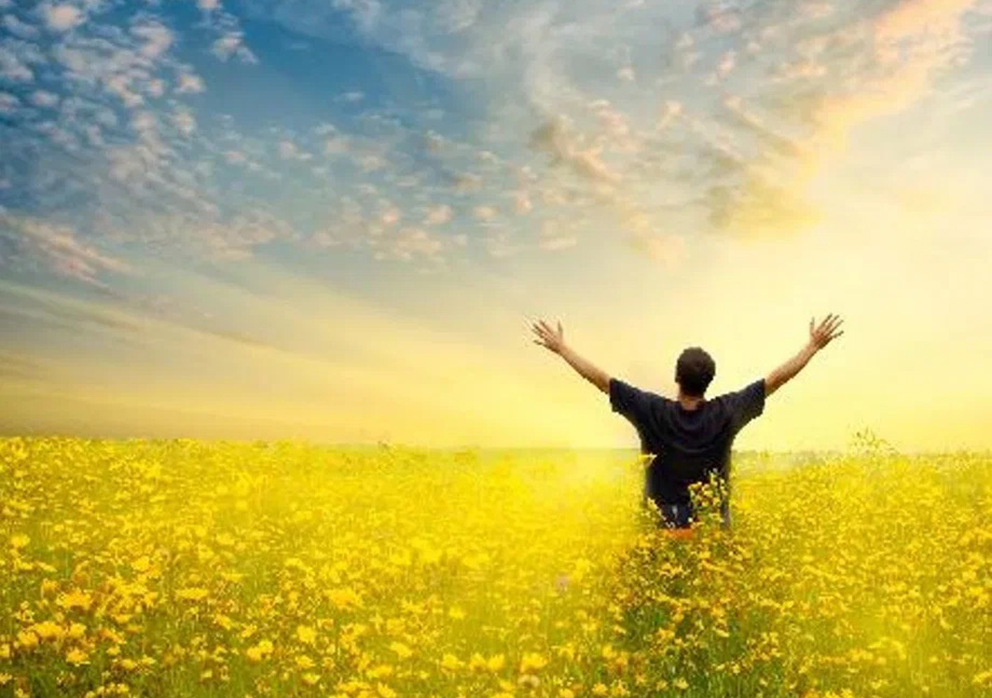 Химия и алхимия летнего похмелья