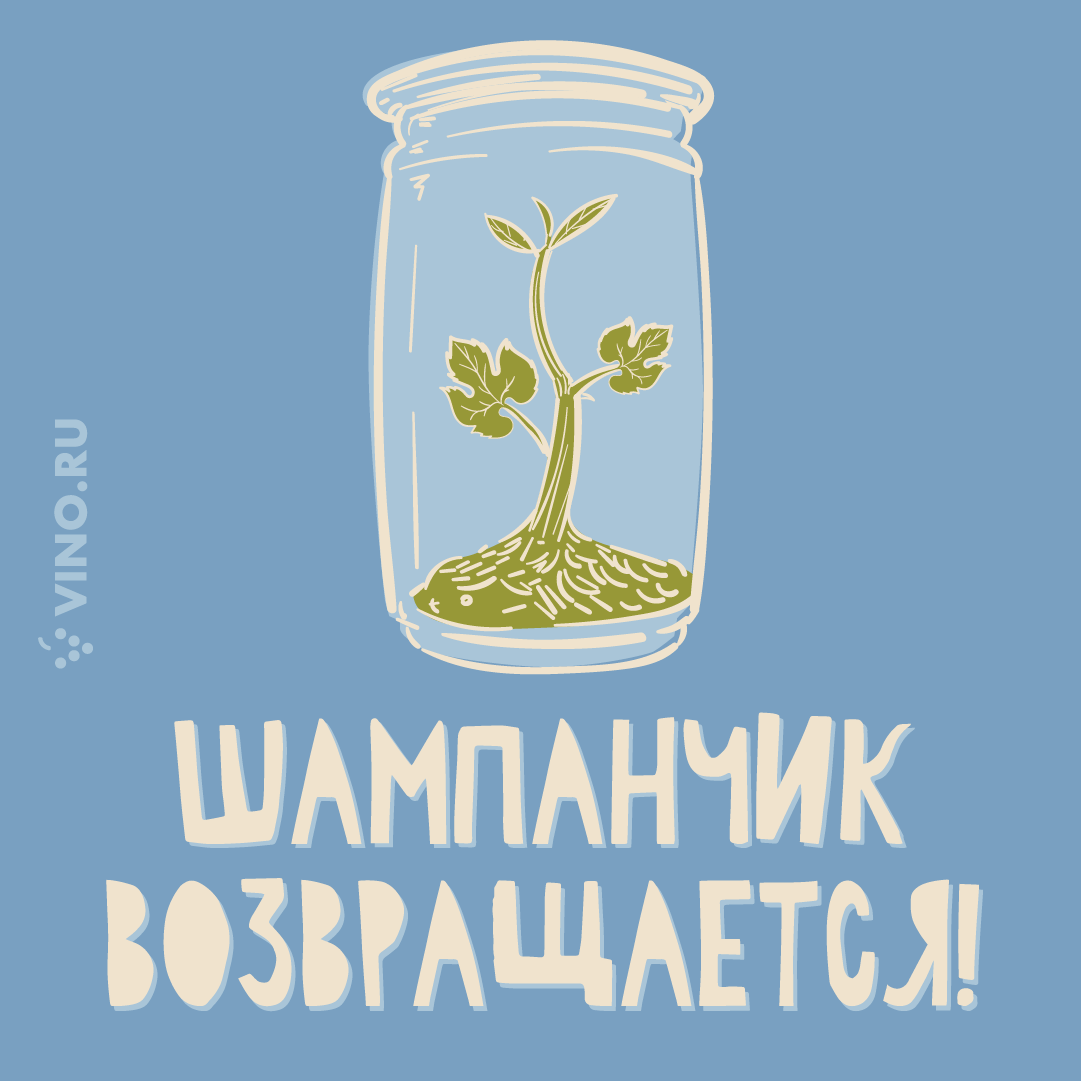 Шампанчик возвращается!