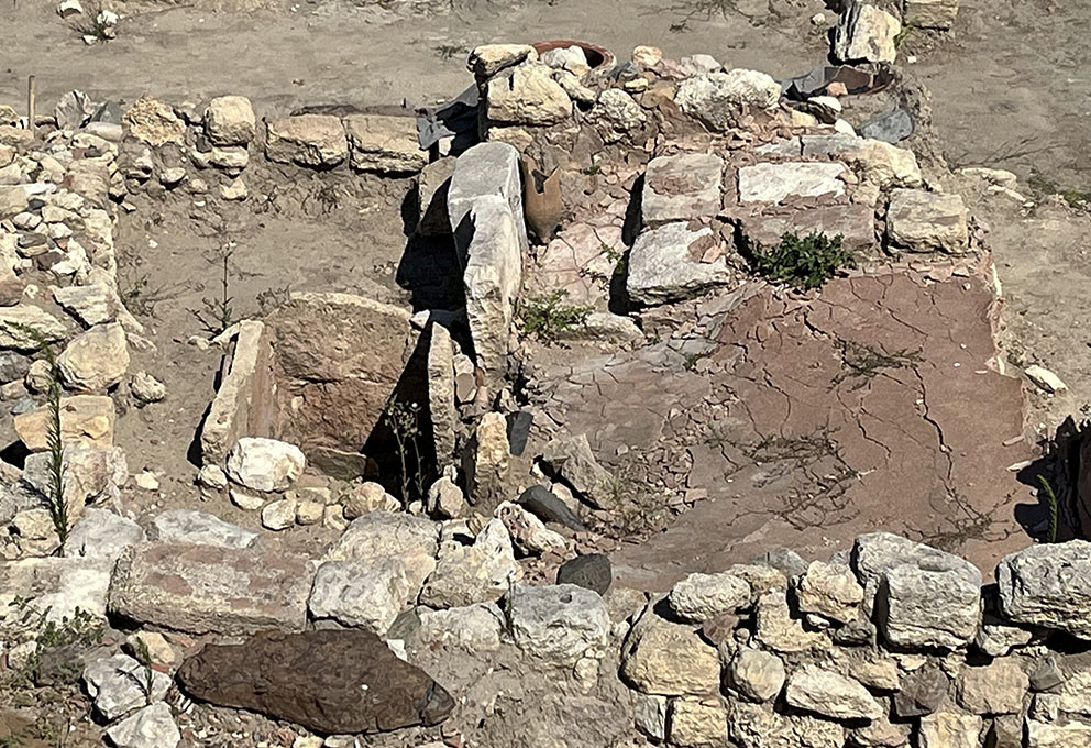 IMG_6845.jpg IMG_6845.jpg