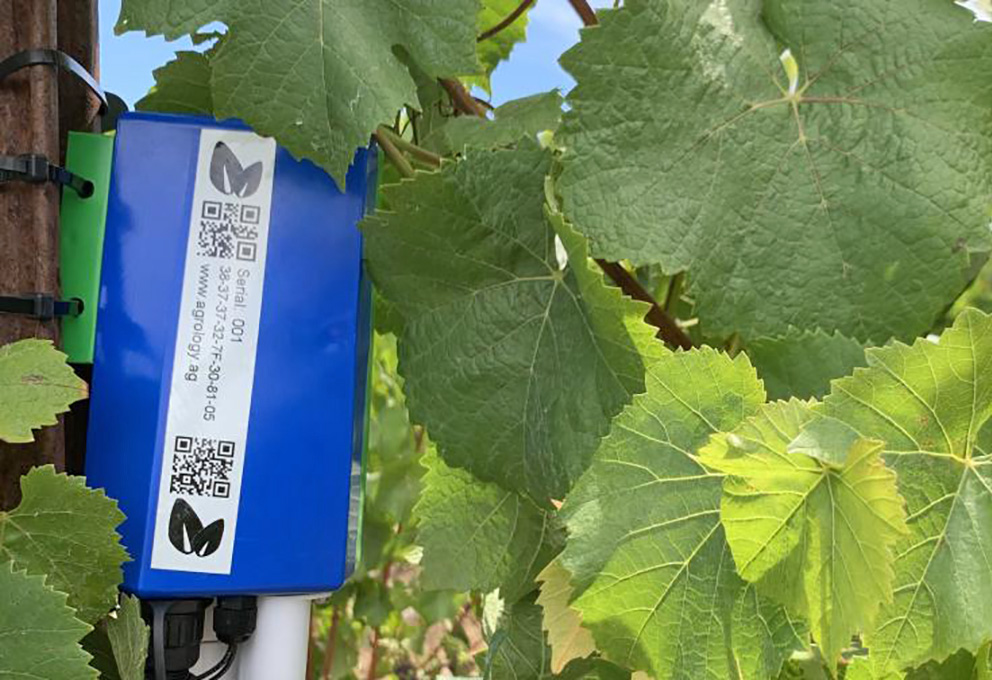 Agrology-Sensor-Vineyard_Featured copy.jpg Agrology-Sensor-Vineyard_Featured copy.jpg