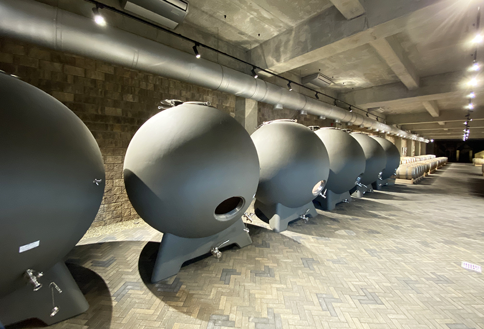 sikory 2.jpg sikory 2.jpg