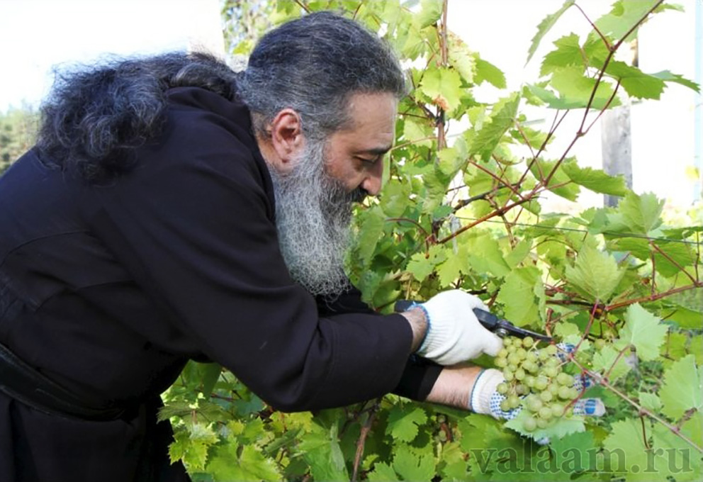 Винный прпактикум_ Валаам.jpg Винный прпактикум_ Валаам.jpg